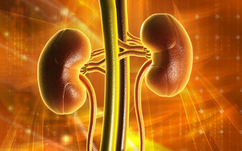 Overall Survival In Metastatic Renal Cell Carcinoma Differs By Race